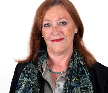 纯净版无广告的在线DDOS压力测试网页端